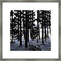 Lakeside Cedar Forest With Snow Framed Print