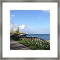 Lakeside Walk Framed Print