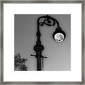 Savannah Lamp Post Framed Print