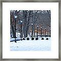 Lamp Posts At The Pond Framed Print