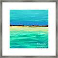 Iguana Island Ahead Framed Print