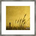 Land Of Stillness Framed Print