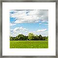 Landscape With Tree And Meadow Panorama Framed Print