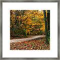 Lane In Fall Framed Print