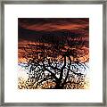 Large Cottonwood At Sunset Framed Print