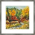 Latah Creek Fall Colors Framed Print