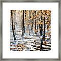 Late Fall Early Winter Framed Print