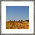 Late Summer Field 3 Framed Print