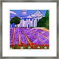 Lavande A St Paul De Mausole  St Remy De Provence Framed Print