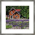 Lavender Cottage Framed Print