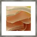 Layers Of Love Framed Print