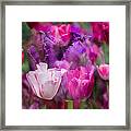 Layers Of Tulips Framed Print