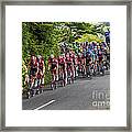 Le Tour De France Framed Print