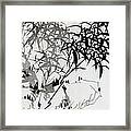 Leaf F Framed Print