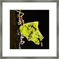 Leafcutter Ants Carrying Leaves Framed Print