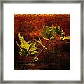 Leaves On Texture Framed Print