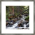 Lehman Creek In Great Basin National Park Framed Print