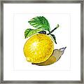 Artz Vitamins The Lemon Framed Print