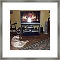 Leo Watching Batman. #batman Framed Print