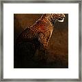 Leopard Portrait Framed Print