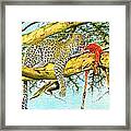 Leopard With A Kill Framed Print