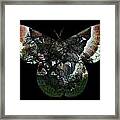 Lessons In Rewilding Framed Print