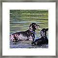 Let's Play In The River Framed Print