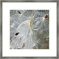 Life Cycles Framed Print
