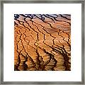 Life Lines Framed Print