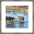 Life On The Ranch Framed Print