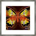 Light And Flight Abstract Butterfly Art By Omaste Witkowski Framed Print