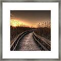 Light At The End Of The Road Framed Print
