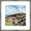 Lighthouse, Fanad Head, Ireland Framed Print