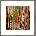 Like The Trees Always Looking Up Framed Print