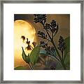Lilacs At Sunset Framed Print
