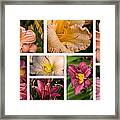 Lilies And Daylilies Eight Collage Framed Print