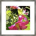 Lilies In The Garden Framed Print