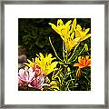 Lilies Of The Garden Framed Print