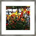 Lilium Framed Print