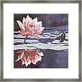 Lily And Bud Framed Print