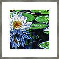 Lily And Dragon Flies Framed Print