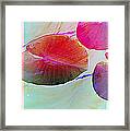 Lily Pad 1 Framed Print