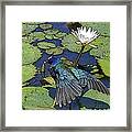 Lily Pad With Bird Framed Print