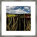 Lily Pads Grow Along The Shallow Edge Framed Print