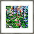 Lily Pond Colorful Reflections Framed Print