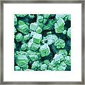 Limescale Framed Print