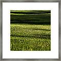 Lines Framed Print