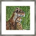 Lioness And Cub Painting Framed Print