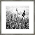 Listing Framed Print