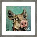 Little Piglet Framed Print